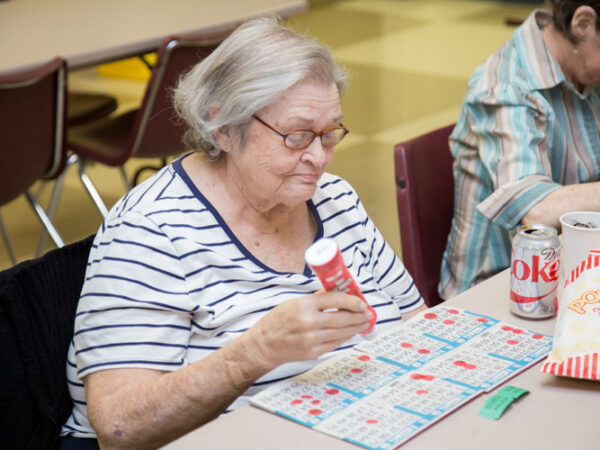 Bingo Bingo